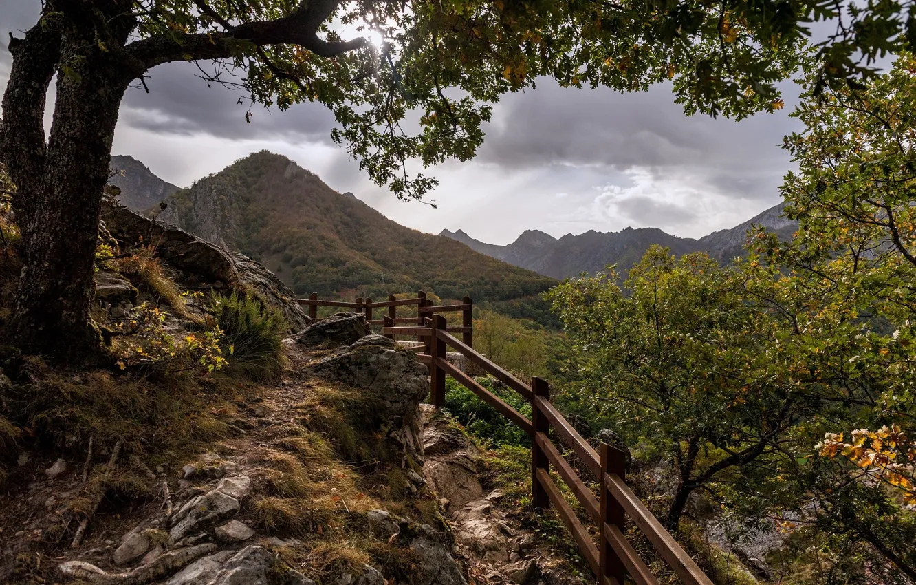 Photo wallpaper the sky, nature, PERILLA