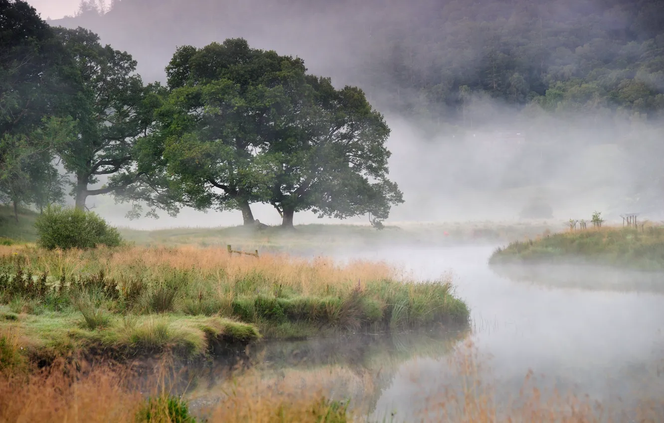 Photo wallpaper autumn, fog, river