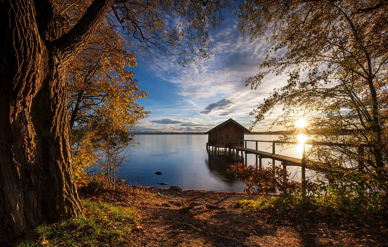 Photo wallpaper the sky, the sun, clouds, trees, sunset, reflection, blue, branch