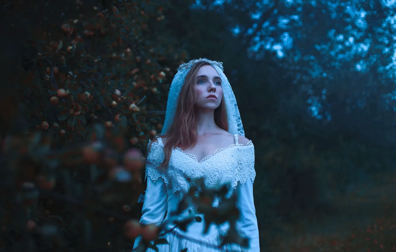 Photo wallpaper apples, the bride, Aleah Michele, Midnight in the Garden