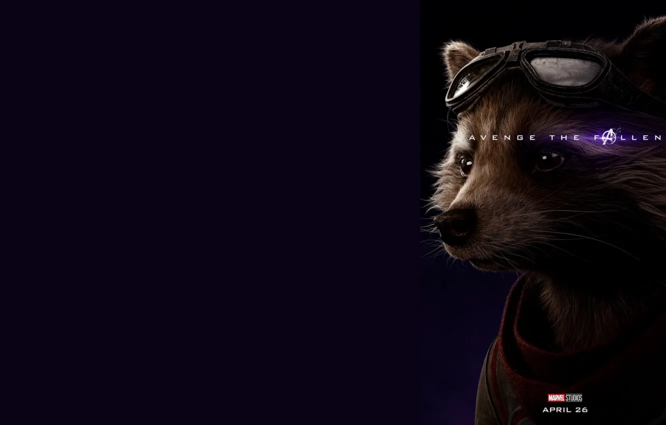 Photo wallpaper rocket, raccoon, Avengers: Endgame, Avengers Finale, Terpily Thanos, Rabbit(for the Torah)
