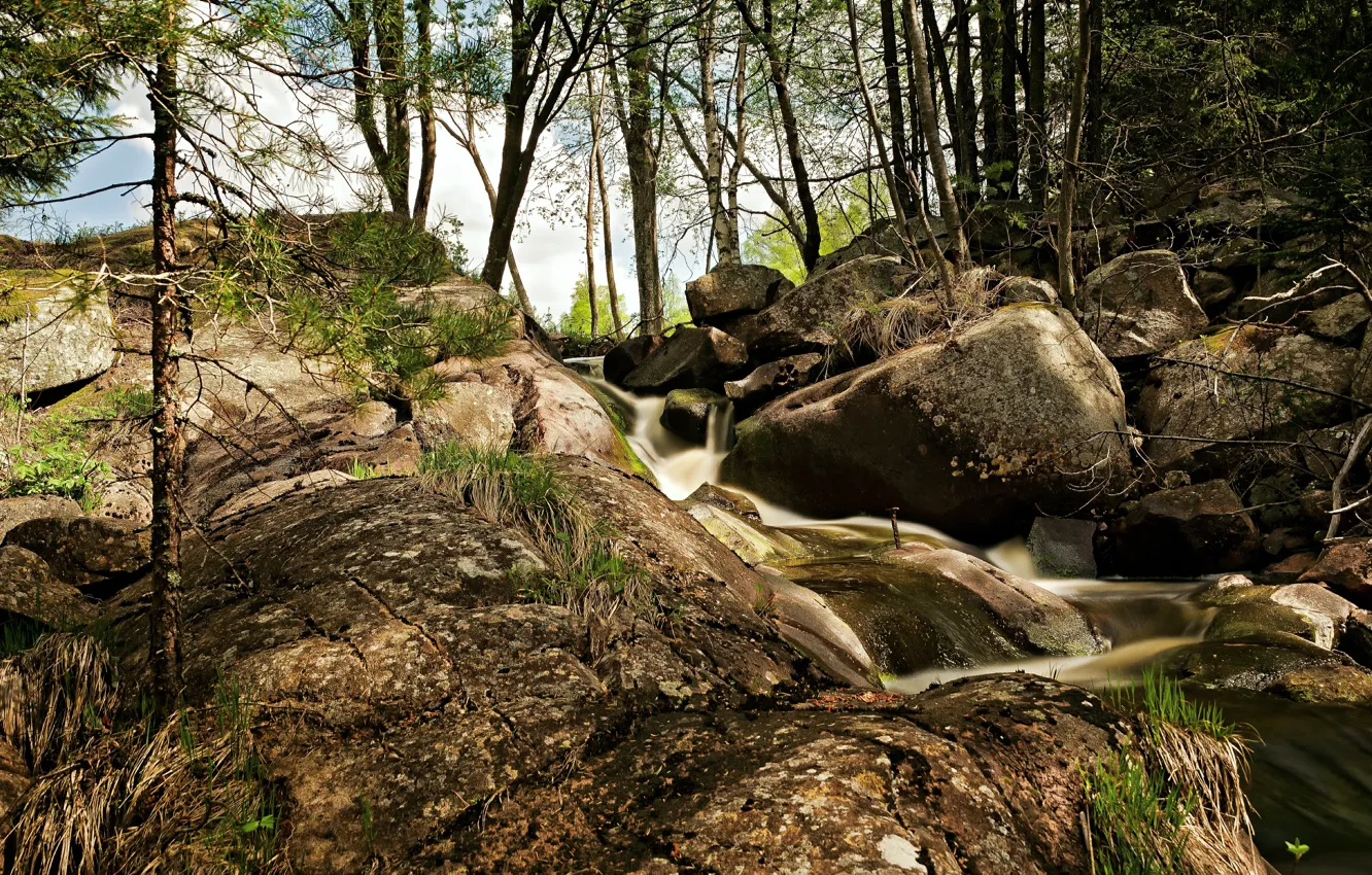 Photo wallpaper Stream, Stones, Nature, River, River