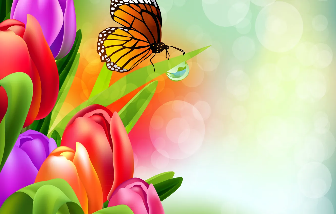 Photo wallpaper butterfly, flowers, figure, rainbow, tulips, brightness