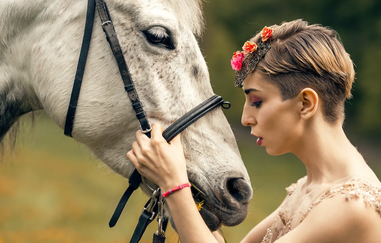 Photo wallpaper girl, background, horse