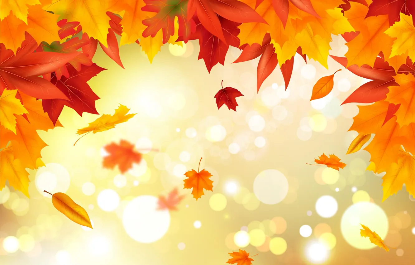 Photo wallpaper autumn, light, glare, lights, foliage, texture, orange background, falling leaves