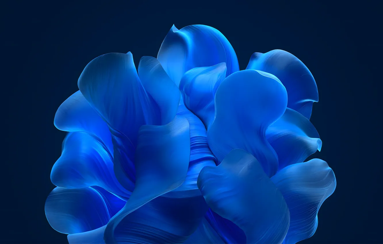 Photo wallpaper blue, Wallpaper, petals, windows