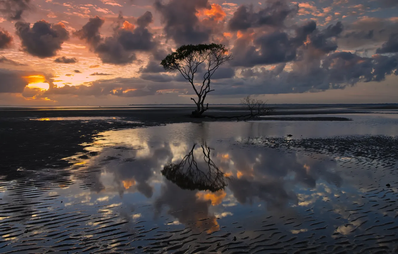 Photo wallpaper the sky, water, clouds, reflection, clouds, tree, the evening, Australia