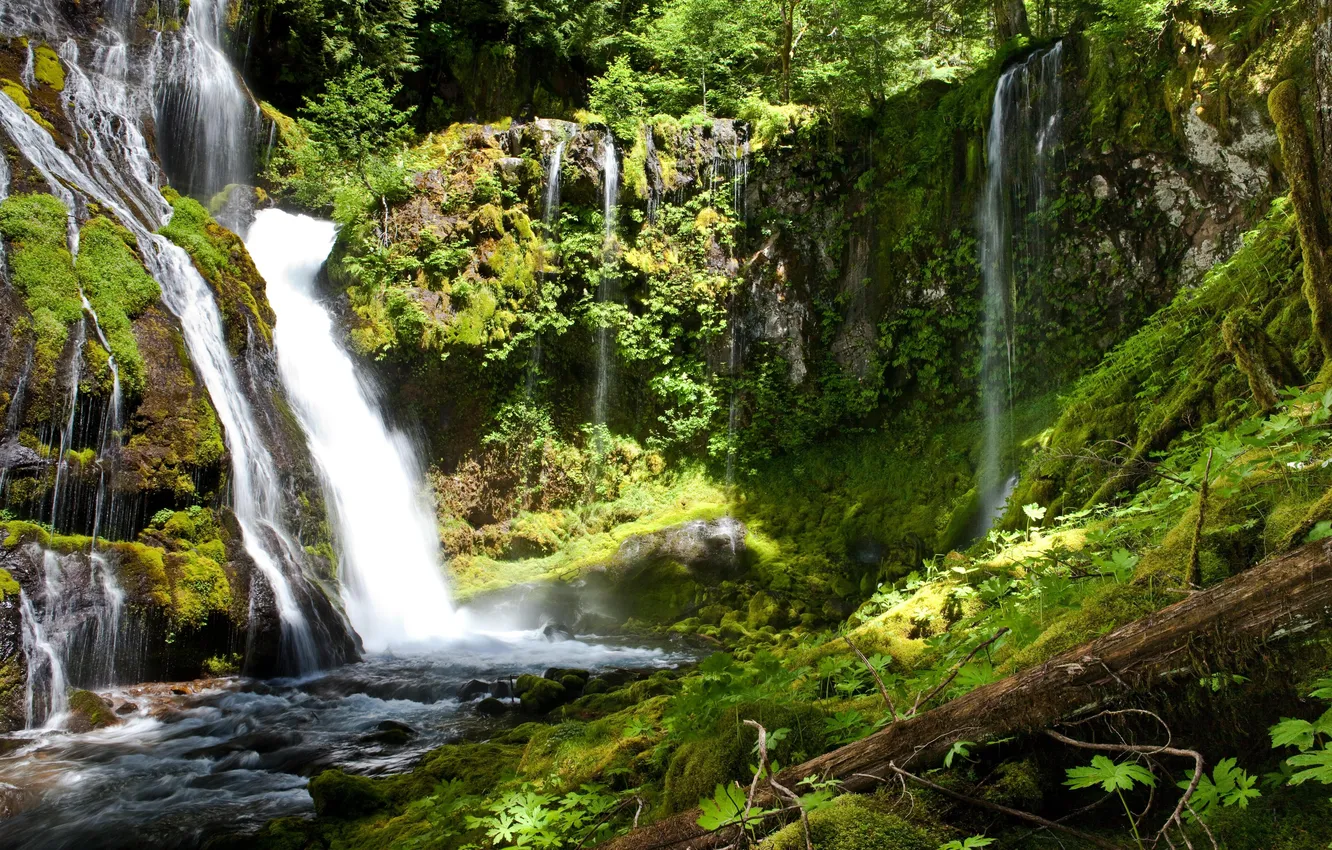 Photo wallpaper leaves, water, trees, stones, waterfall