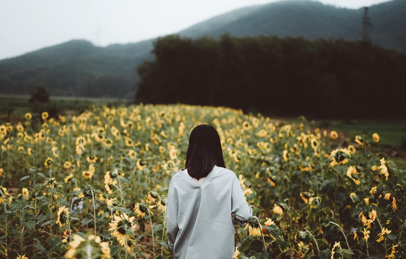 Photo wallpaper girl, sunflowers, shirt