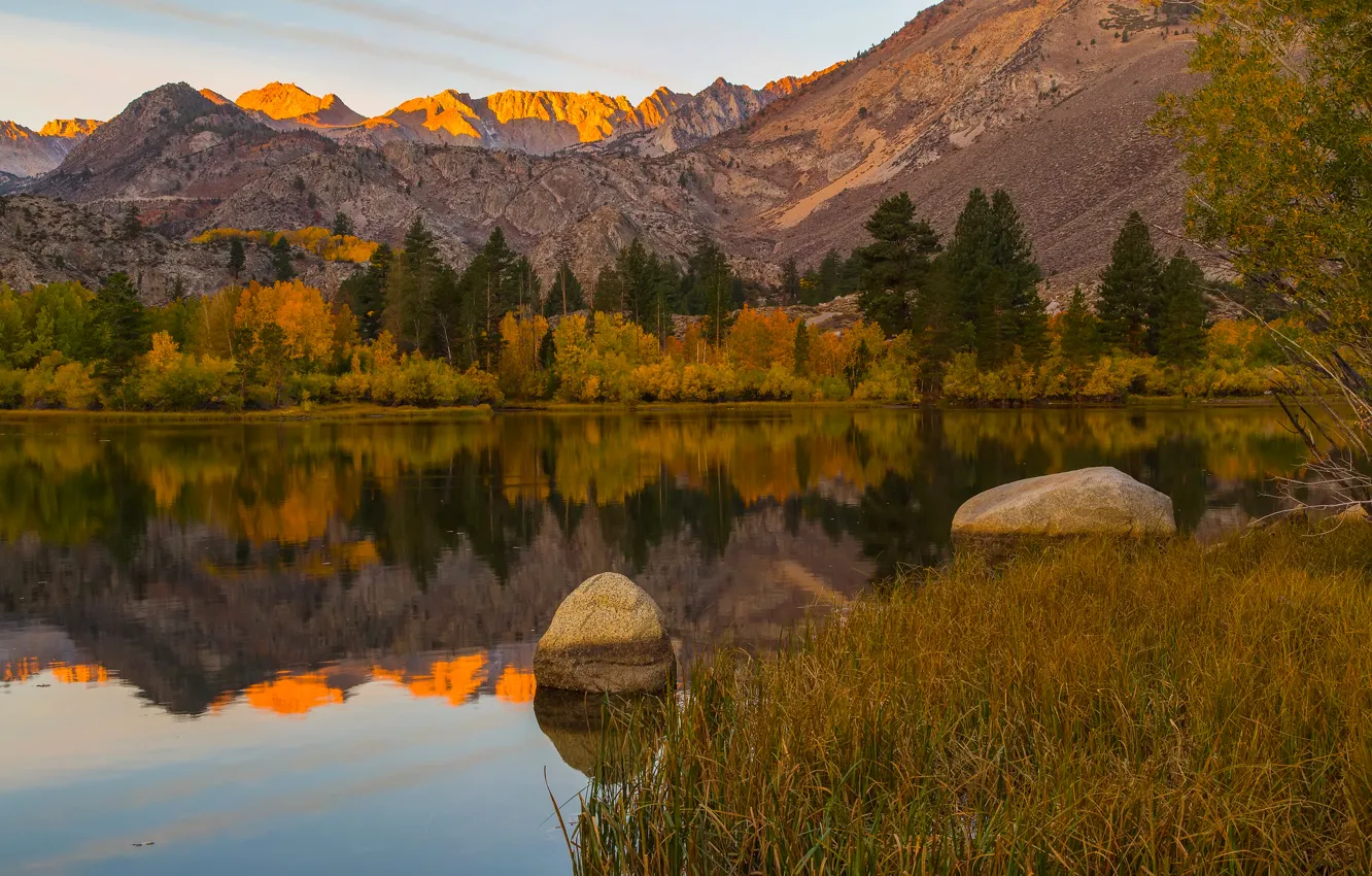Photo wallpaper trees, mountains, lake, reflection, stones, CA, USA