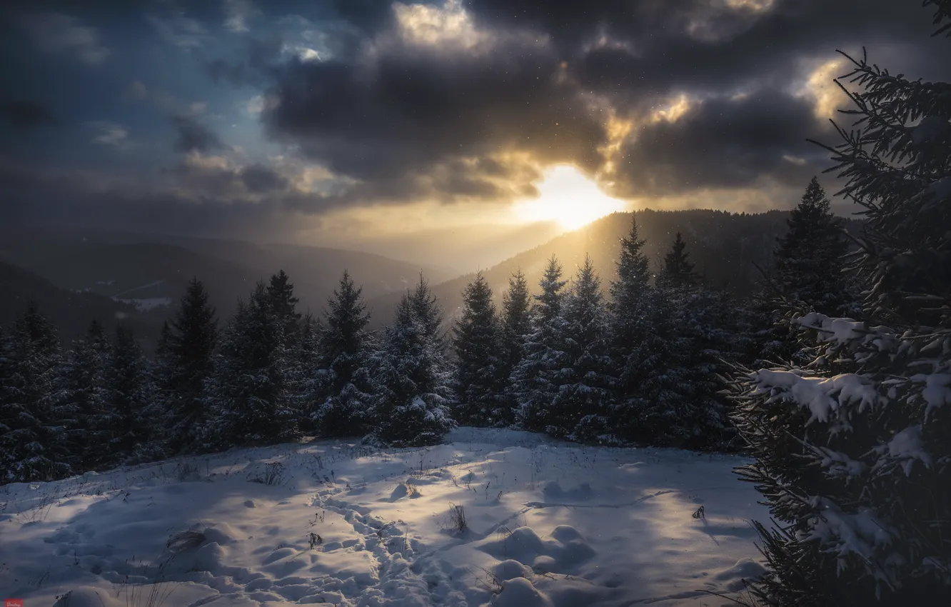 Photo wallpaper winter, snow, trees, landscape, mountains, traces, clouds, nature