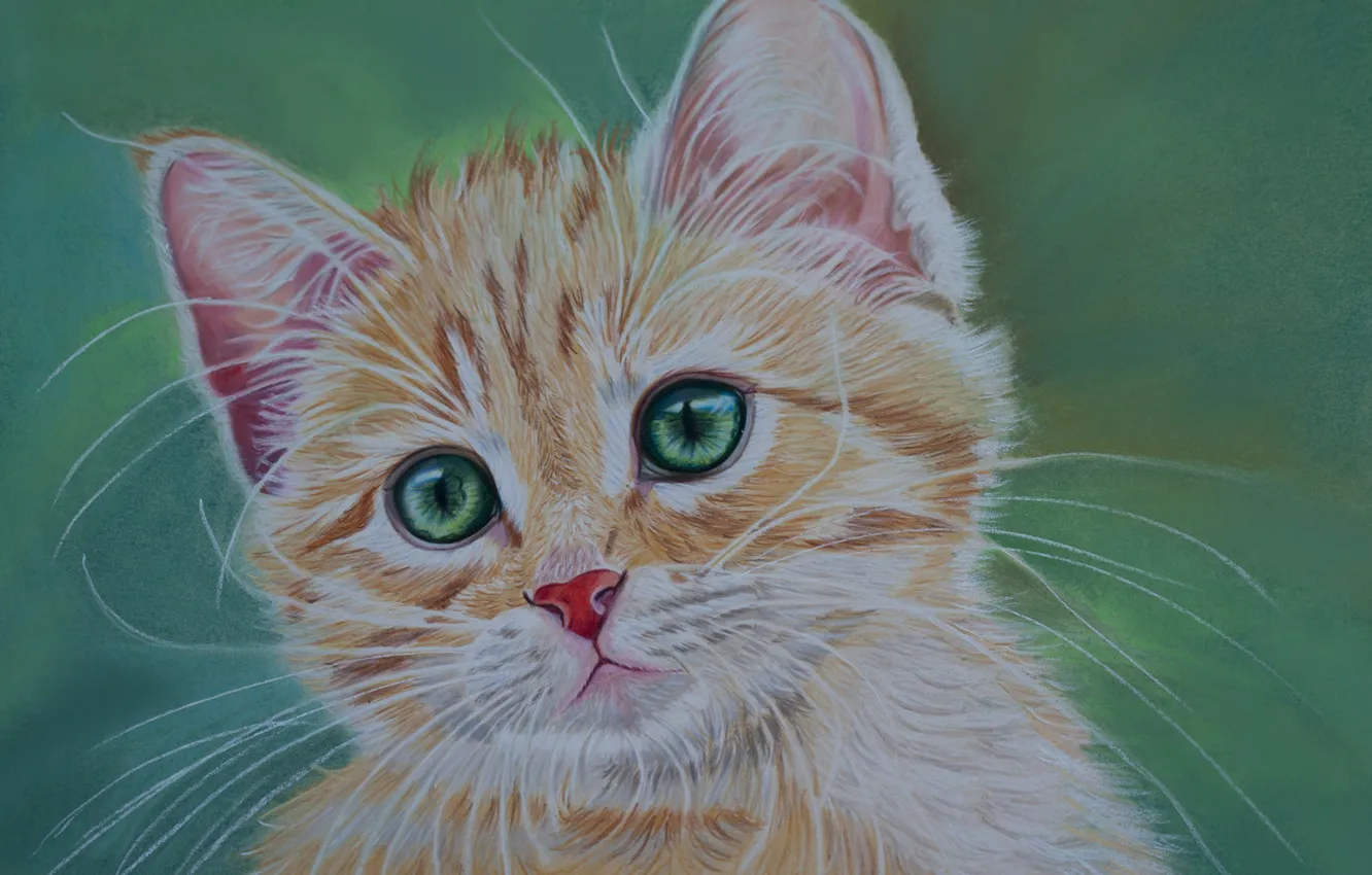 Photo wallpaper eyes, look, red, kitty, green, green background