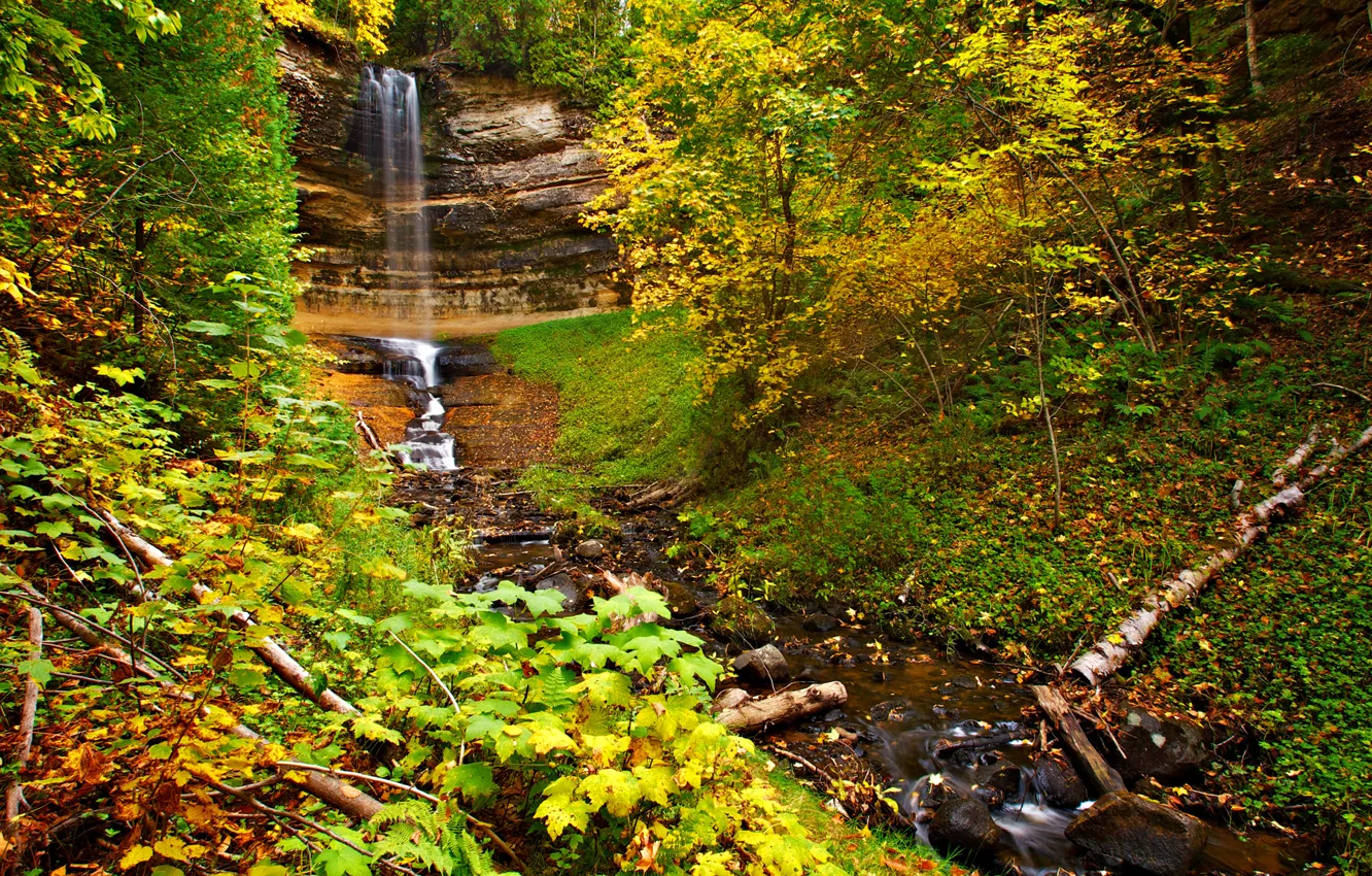 Photo wallpaper autumn, forest, leaves, trees, rock, waterfall, stream