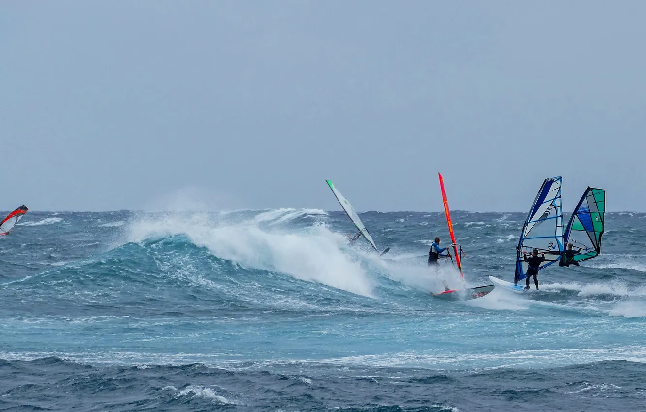 Photo wallpaper race, boat, speed