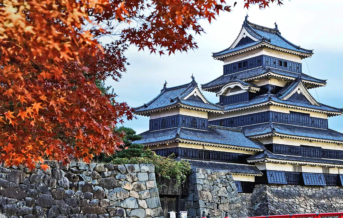 Photo wallpaper autumn, leaves, Japan, pagoda