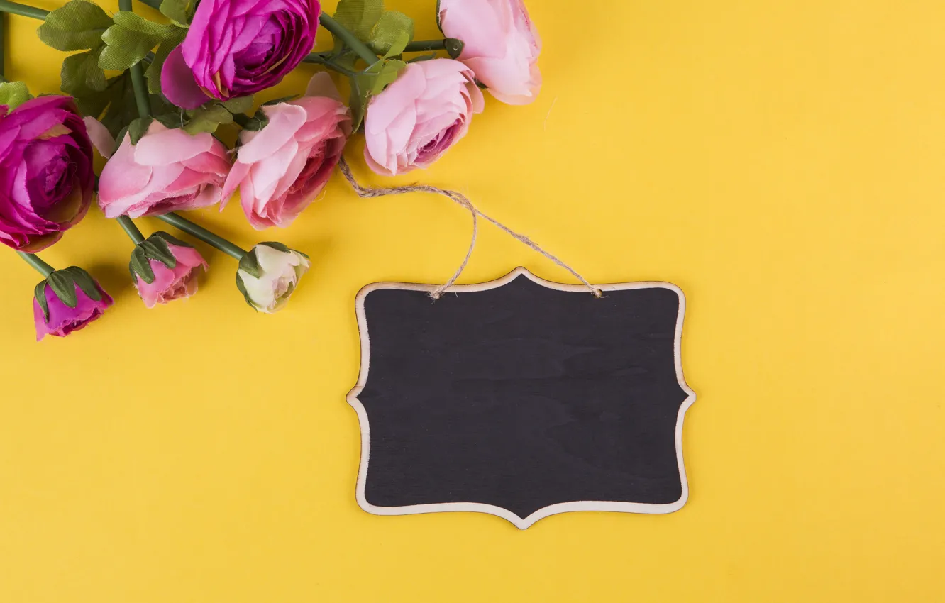 Photo wallpaper flowers, roses, pink, pink, flowers, beautiful, roses