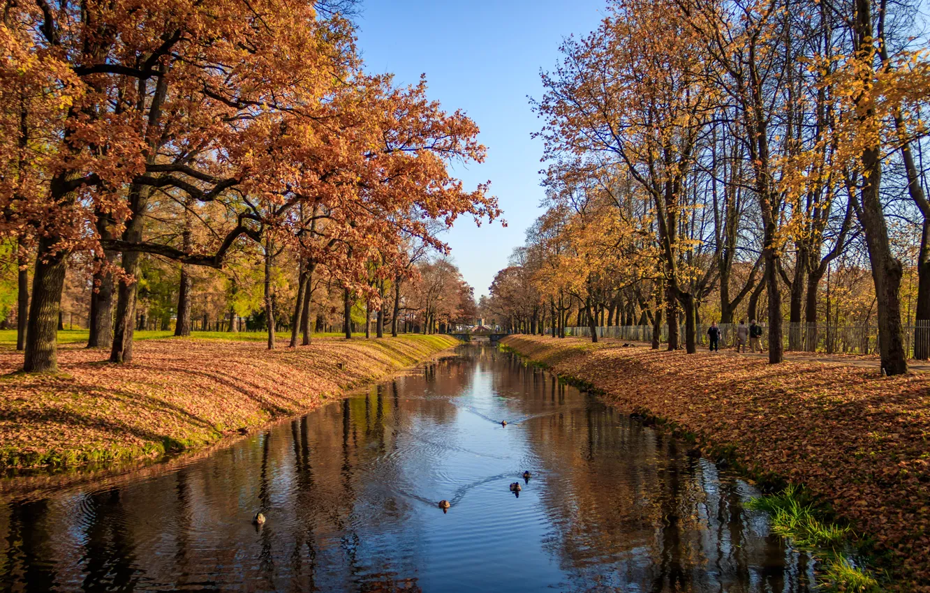 Photo wallpaper autumn, leaves, trees, Park, river, colorful, river, nature