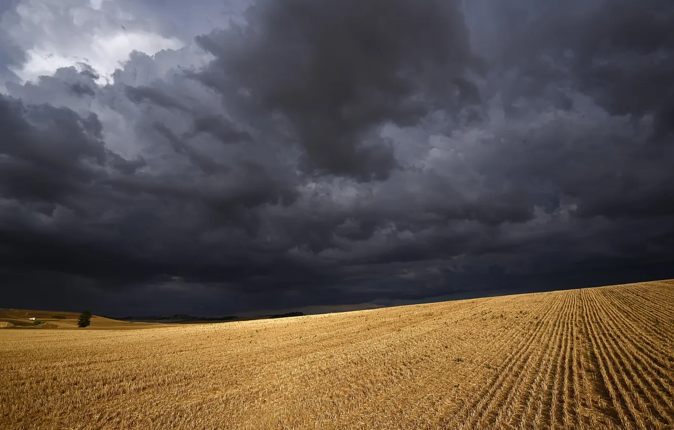 Photo wallpaper field, clouds, storm