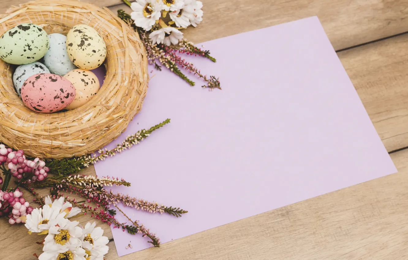 Photo wallpaper flowers, holiday, eggs, spring, Easter, socket, chrysanthemum