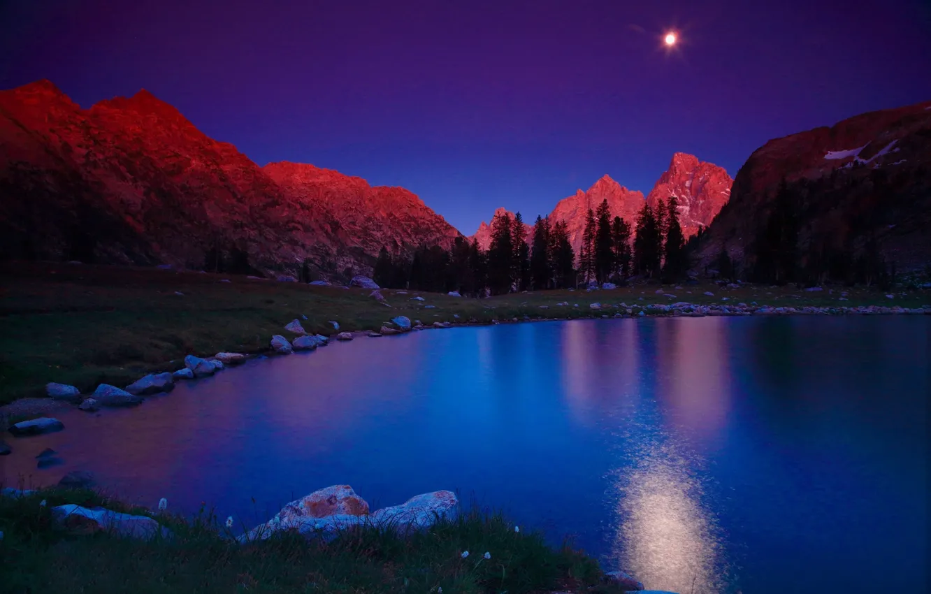 Photo wallpaper trees, landscape, mountains, night, nature, lake, the moon, USA