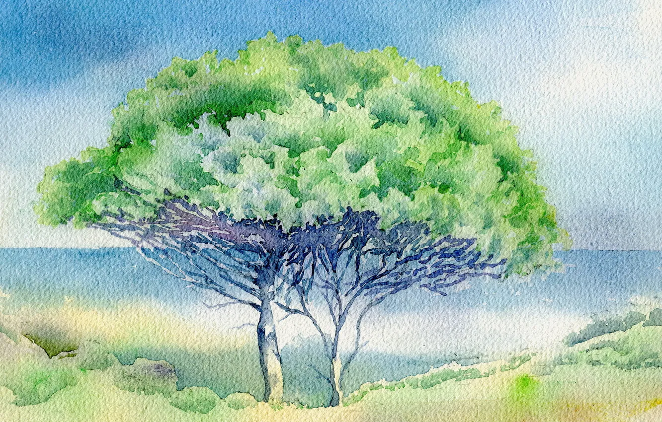 Photo wallpaper landscape, tree, picture, watercolor