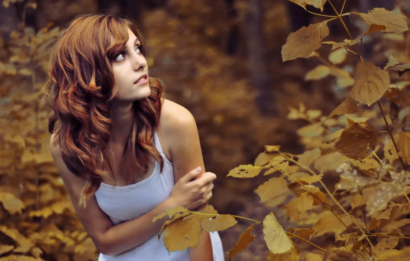 Photo wallpaper autumn, white, look, leaves, girl, nature, hair, girl