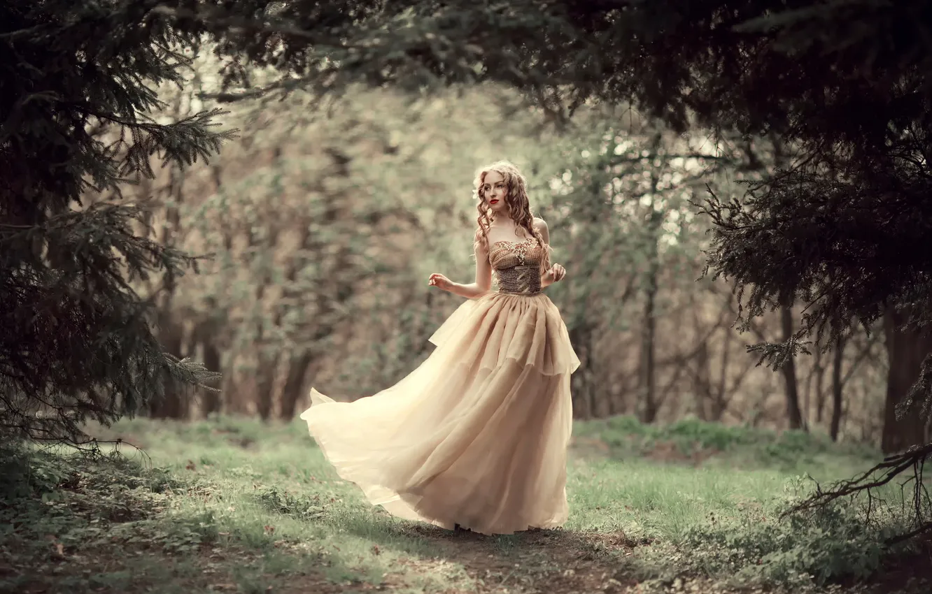 Photo wallpaper forest, girl, dress, bokeh