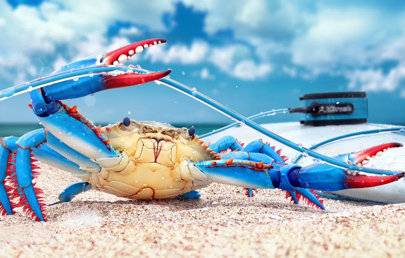Photo wallpaper rendering, crab, render, digital art, blue crab