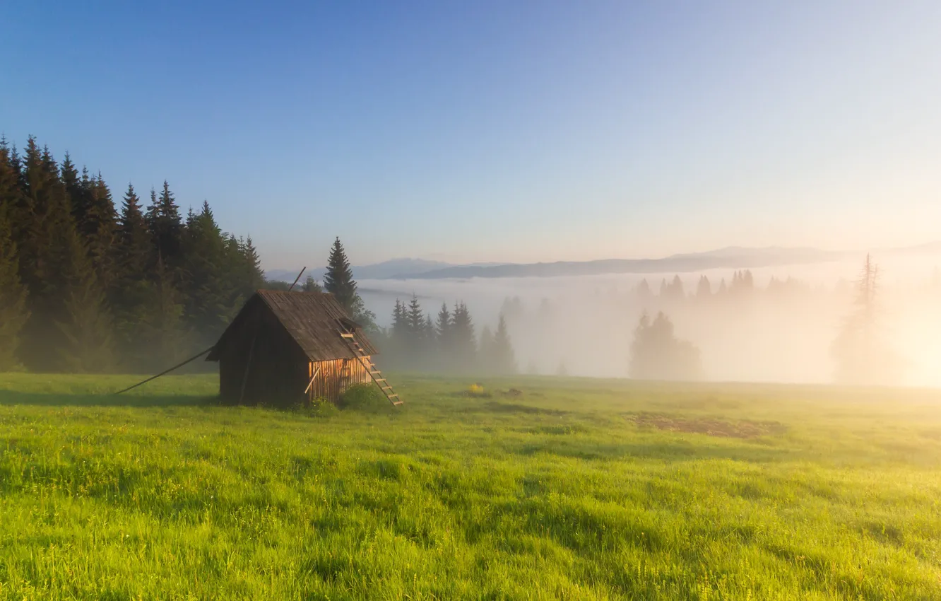 Photo wallpaper fog, morning, the barn