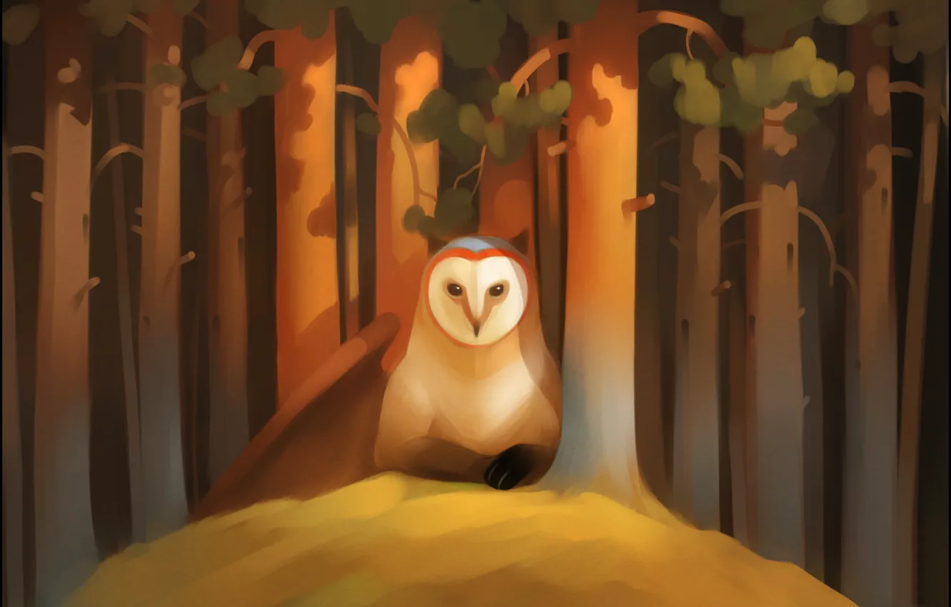 Photo wallpaper forest, look, trees, owl, bird, wing