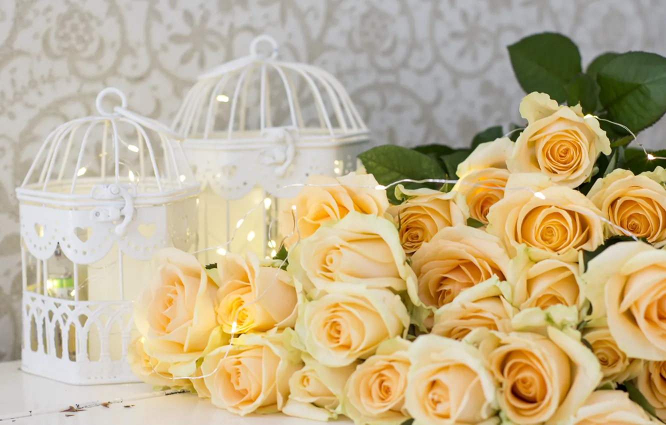 Photo wallpaper flowers, roses, yellow, yellow, flowers, roses