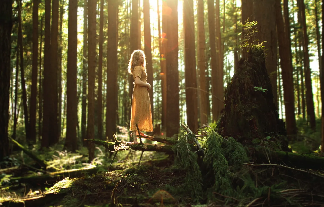 Photo wallpaper forest, girl, nature