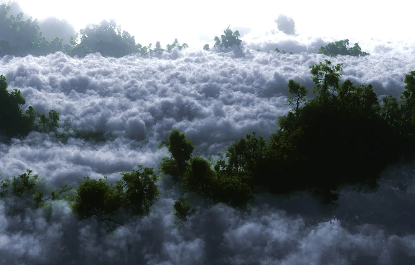 Photo wallpaper forest, the sky, clouds, trees, heavenly, PERINA
