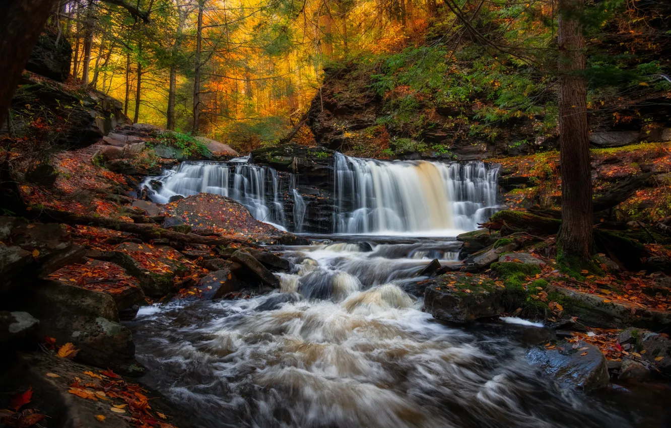 Photo wallpaper autumn, forest, river, waterfalls, PA, cascade, Pennsylvania, Ricketts Glen State Park
