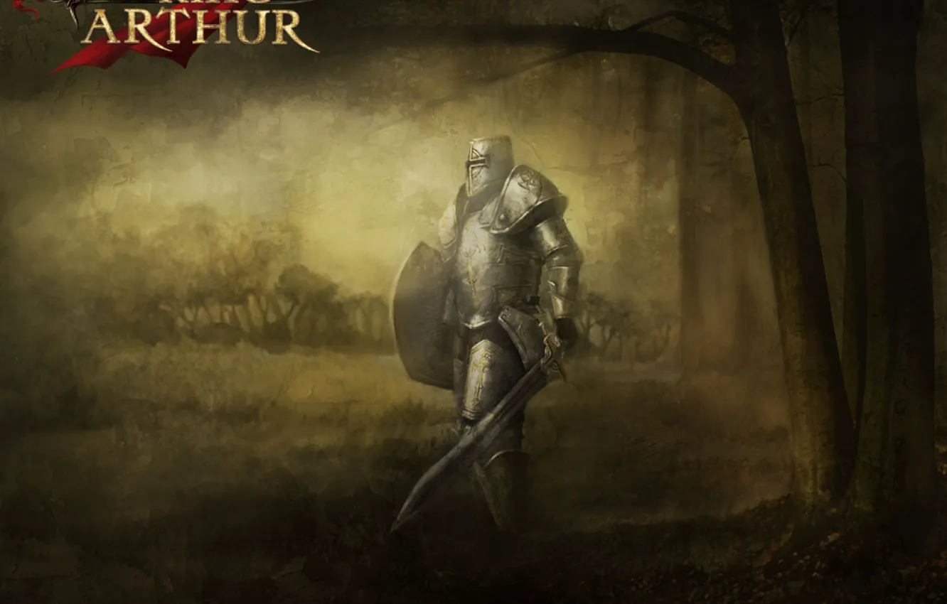 Photo wallpaper cross, sword, armor, warrior, helmet, shield, knight, king