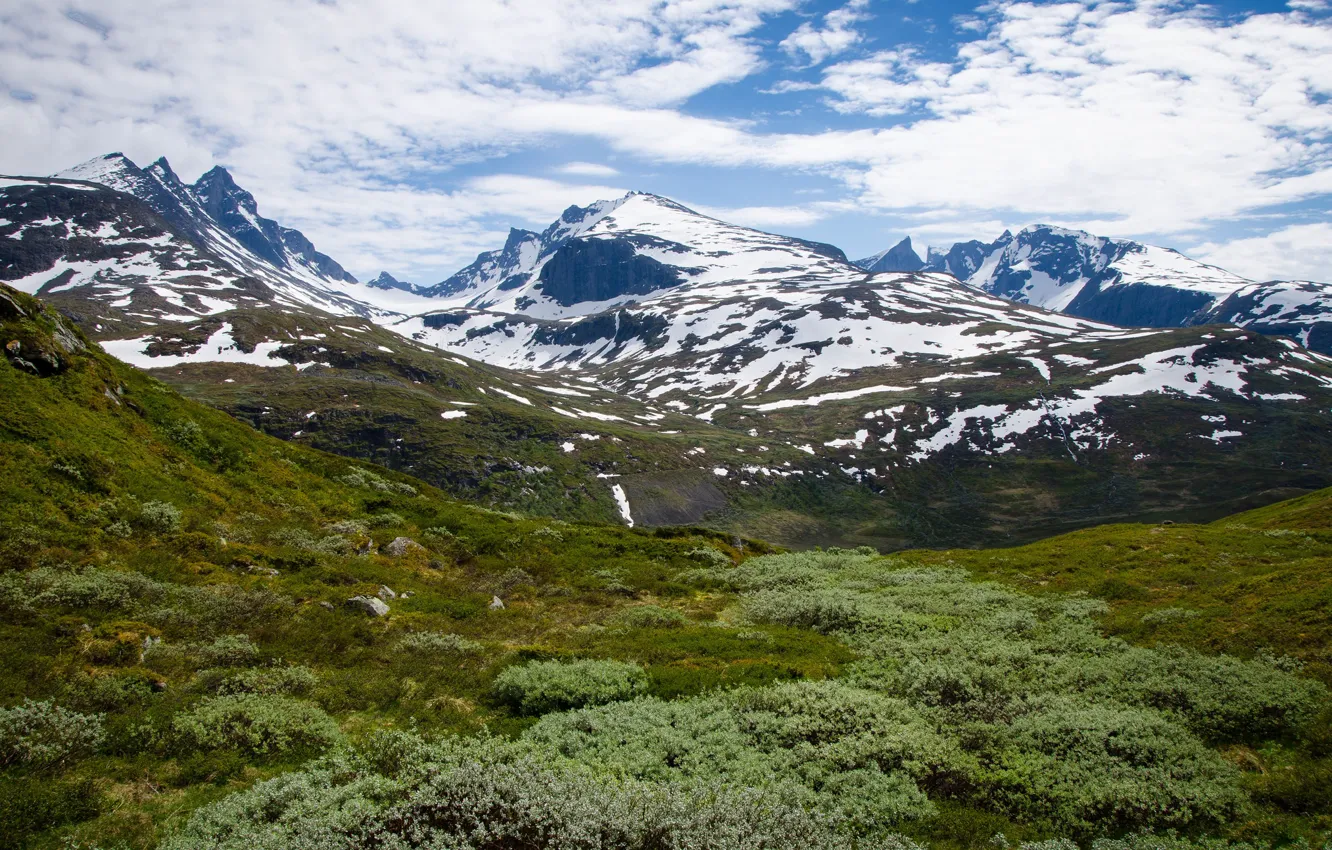Photo wallpaper the sky, clouds, snow, mountains, Norway, Norway, Sognefjellet