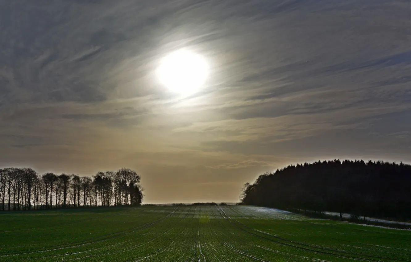 Photo wallpaper field, nature, the evening