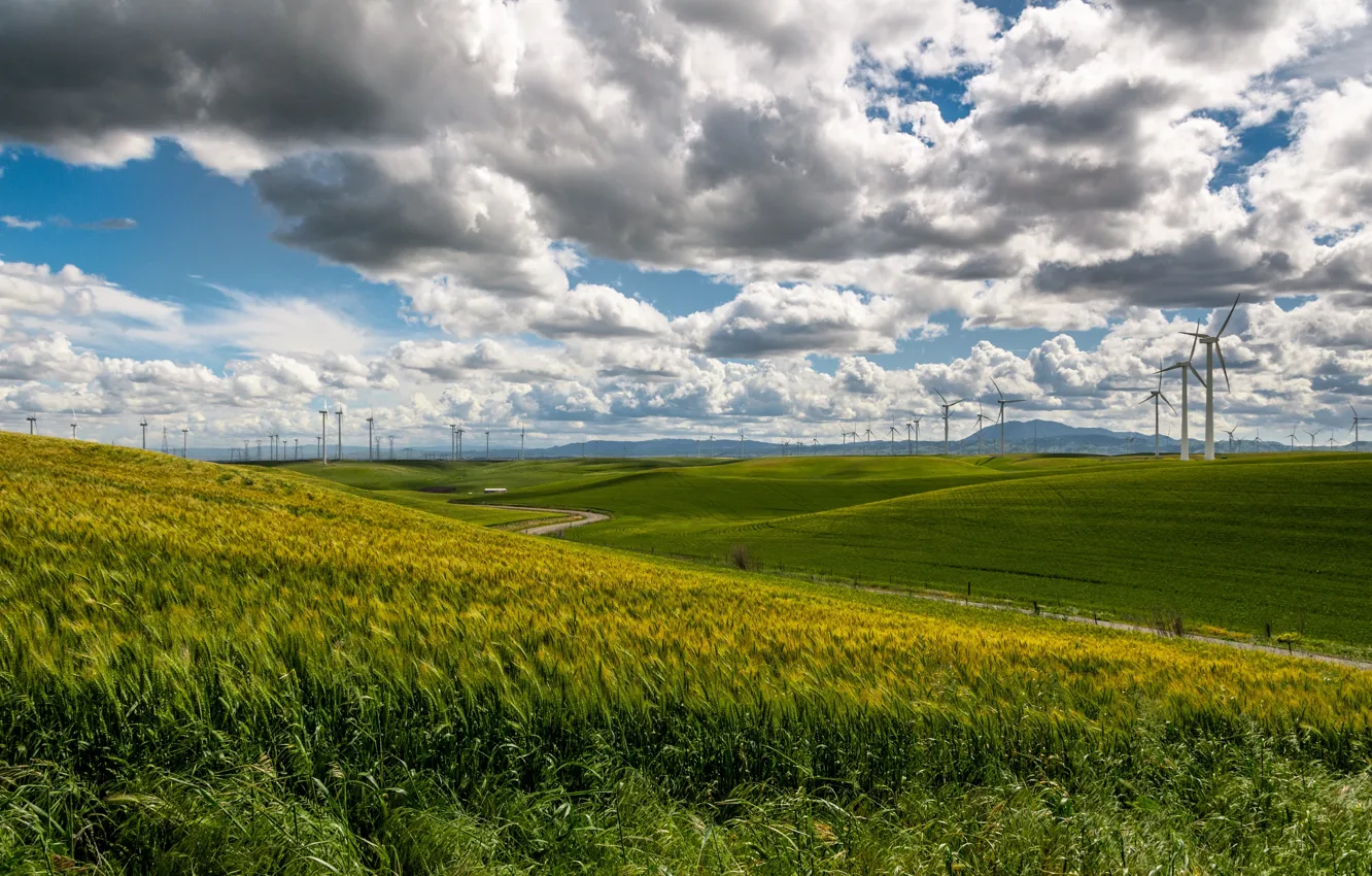 Photo wallpaper grass, sky, nature, clouds, fields, Wind Turbines