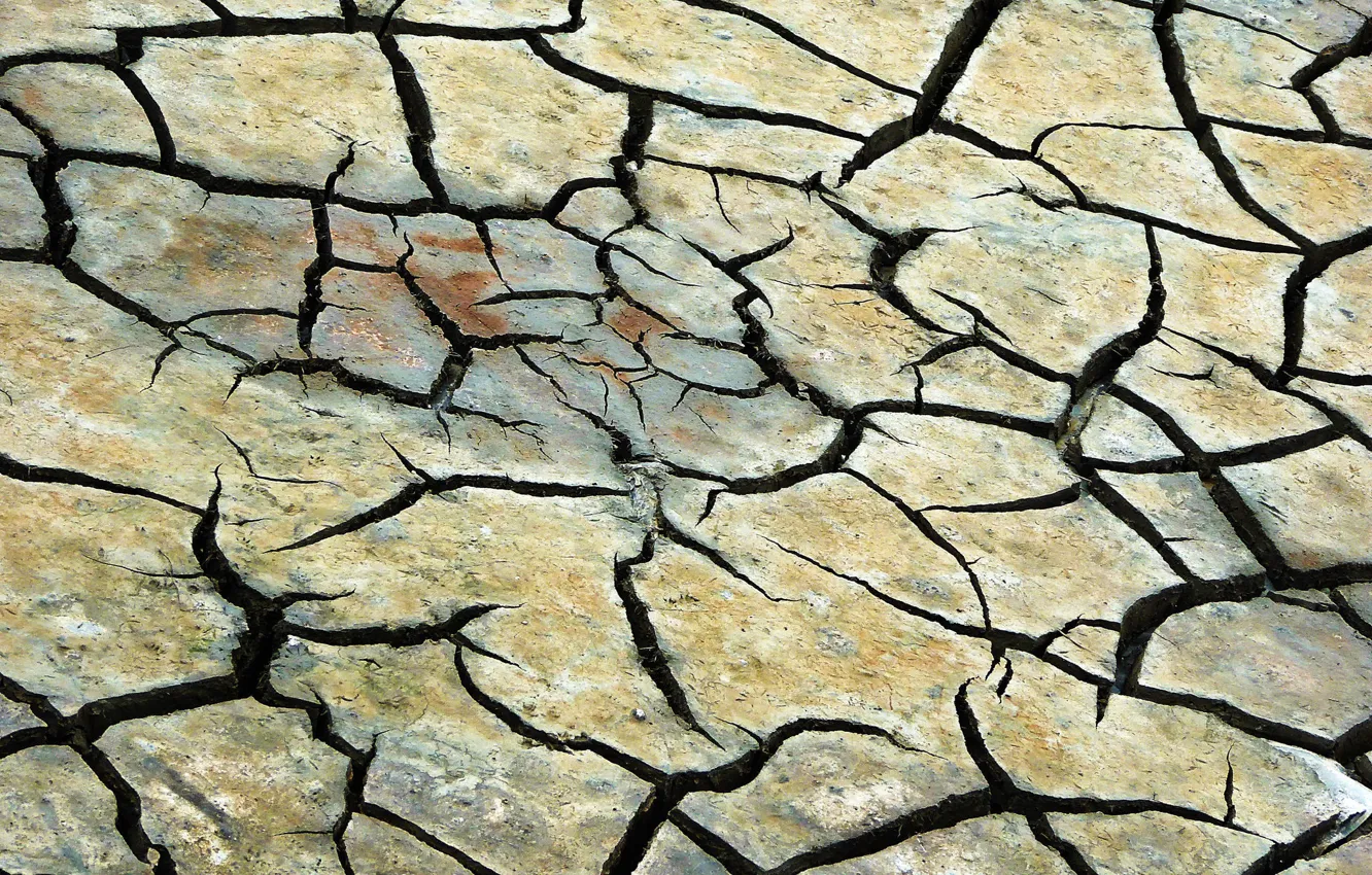 Photo wallpaper nature, background, earth