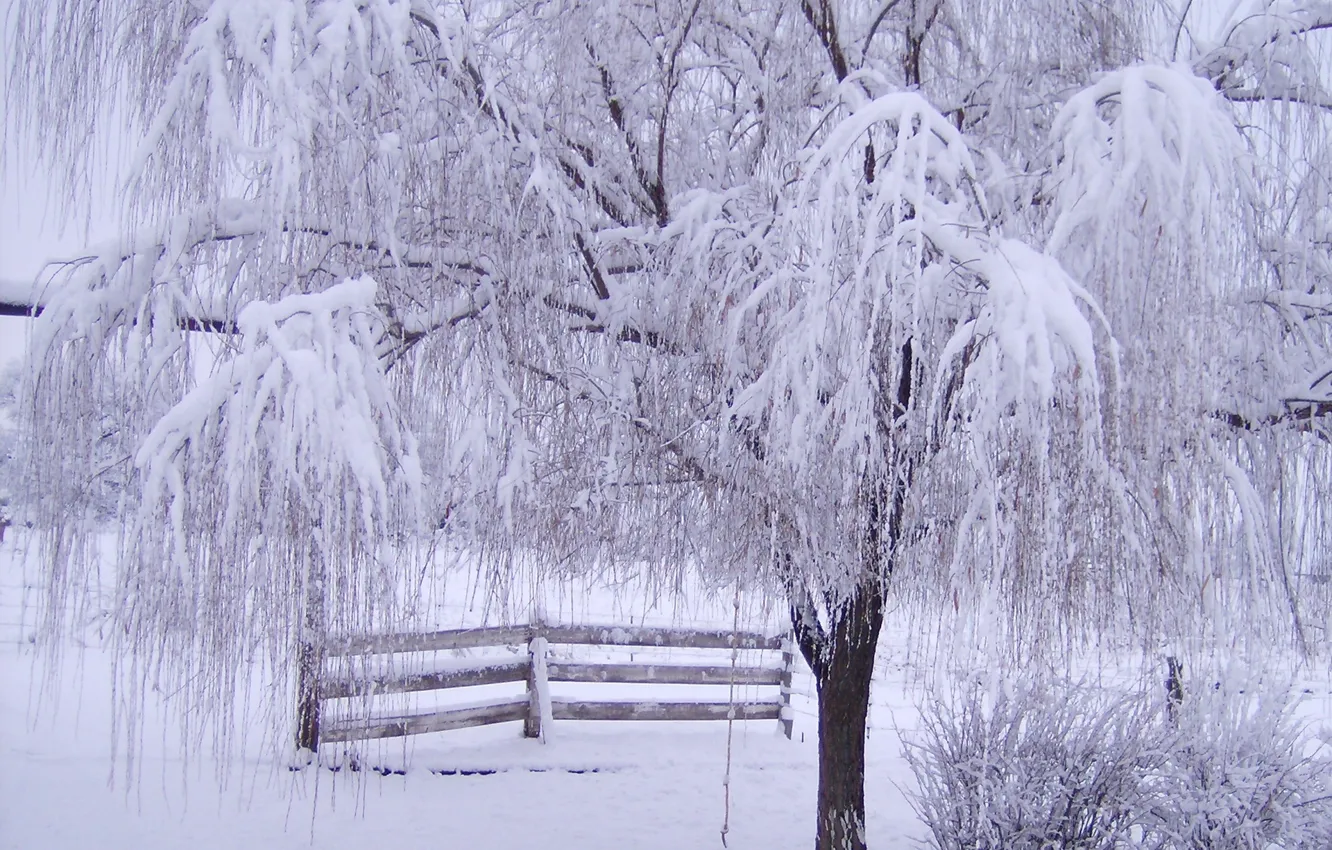 Photo wallpaper winter, frost, snow, trees, branches, the fence