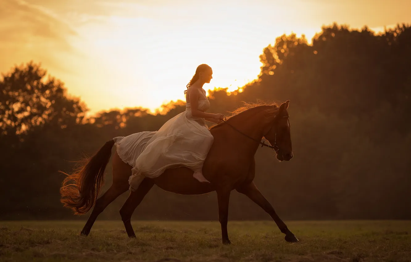 Photo wallpaper girl, sunset, horse