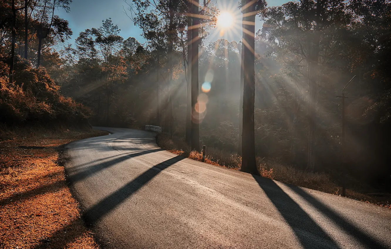 Photo wallpaper road, autumn, light