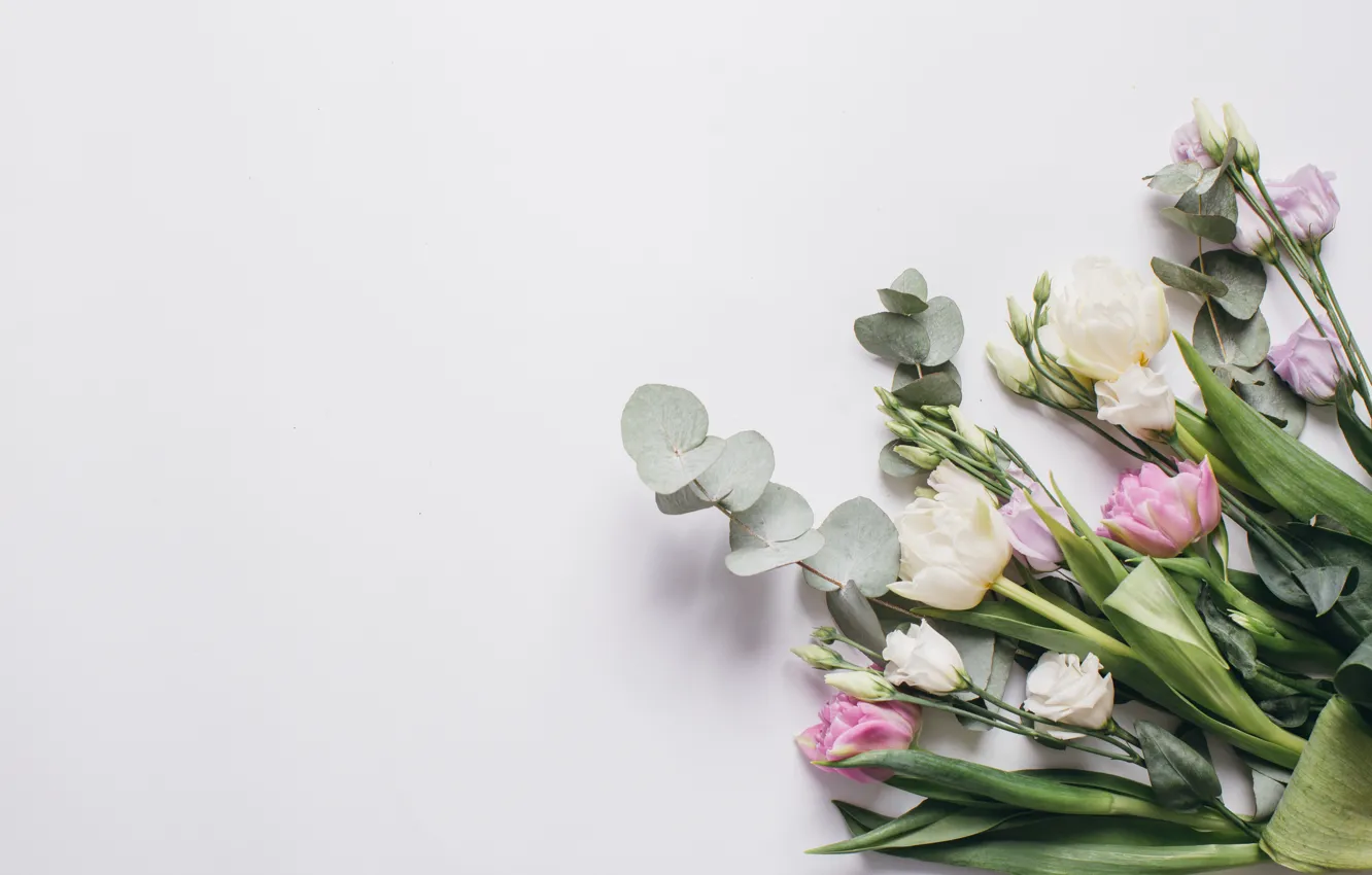 Photo wallpaper love, flowers, tulips, pink, white, white, fresh, pink