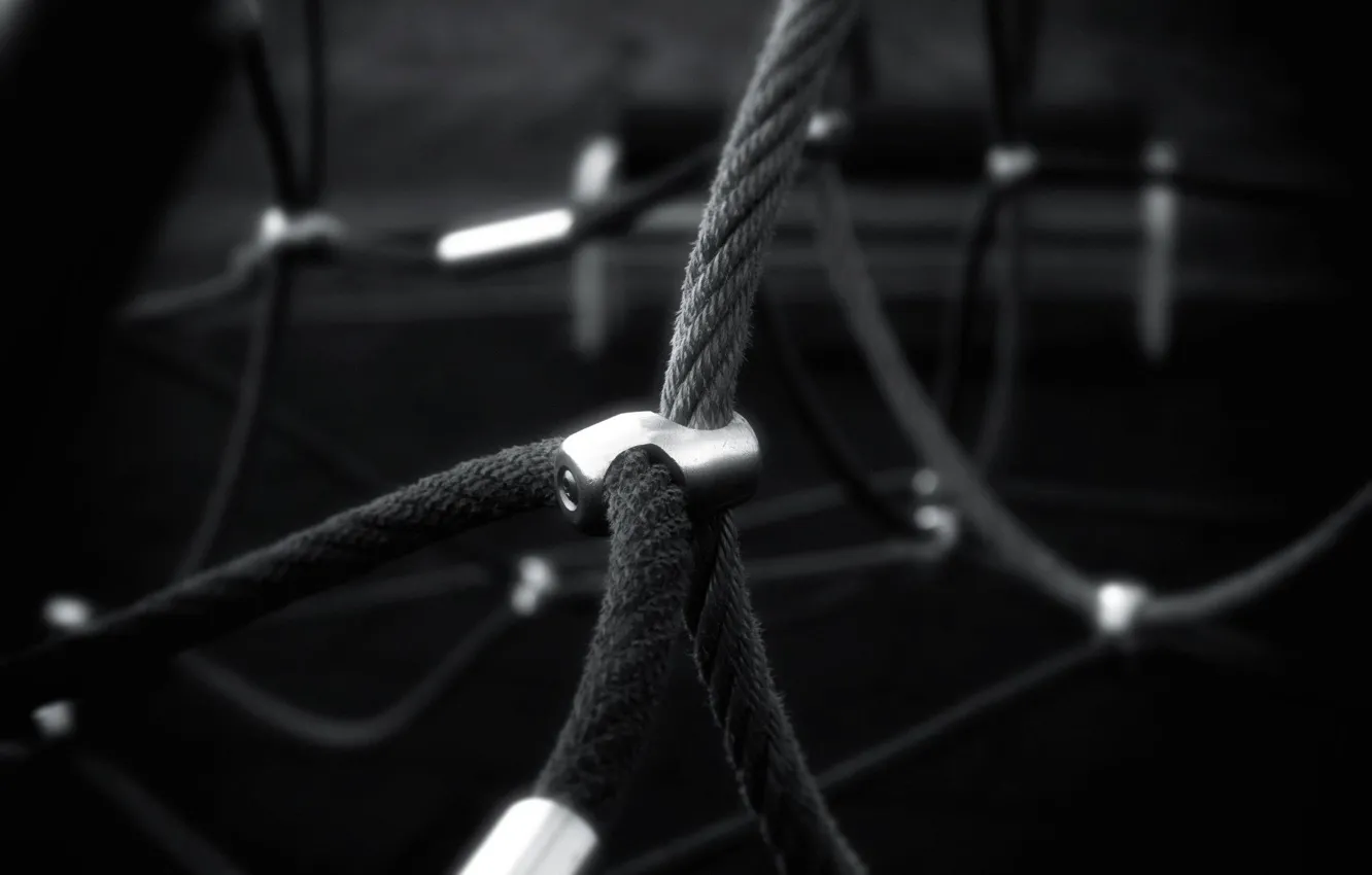 Photo wallpaper mesh, rope, Black and white