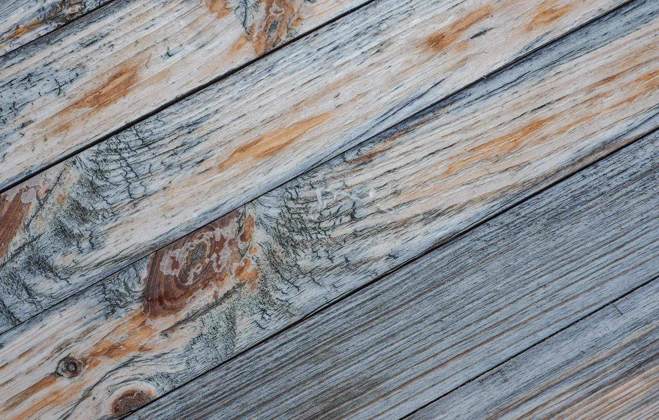 Photo wallpaper macro, Board, texture