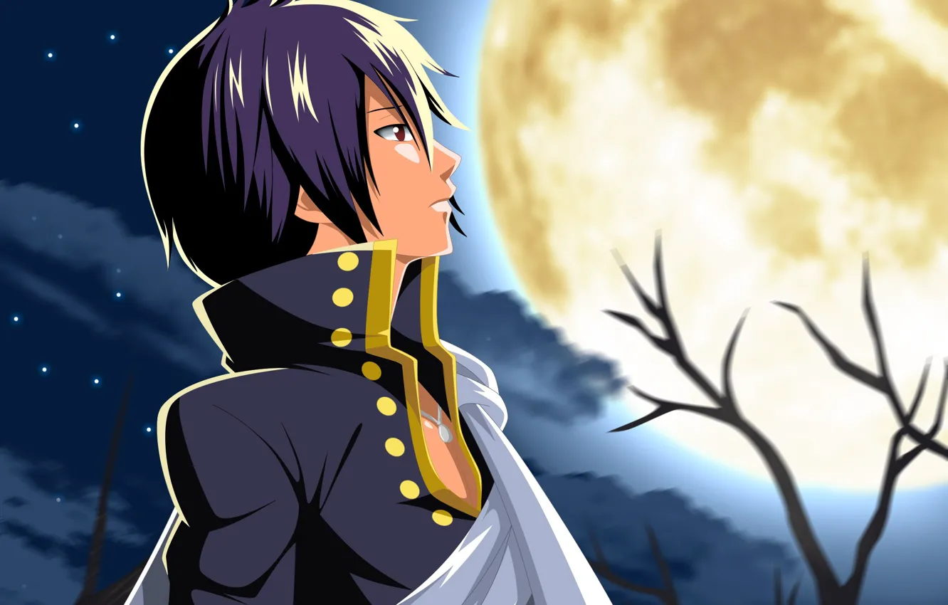 Photo wallpaper anime, art, fairy tail, Fairy tail, Serif