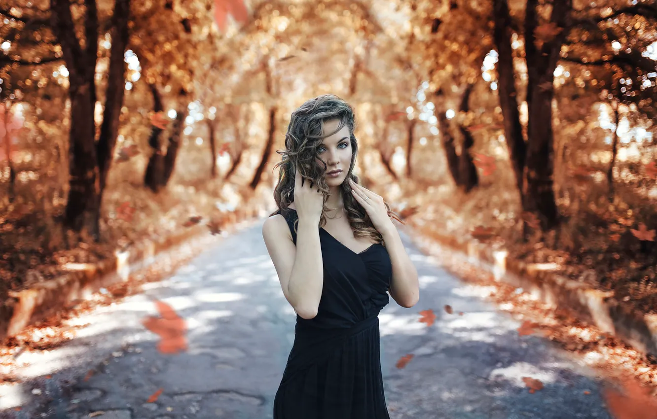 Photo wallpaper road, autumn, girl, Road, Alessandro Di Cicco