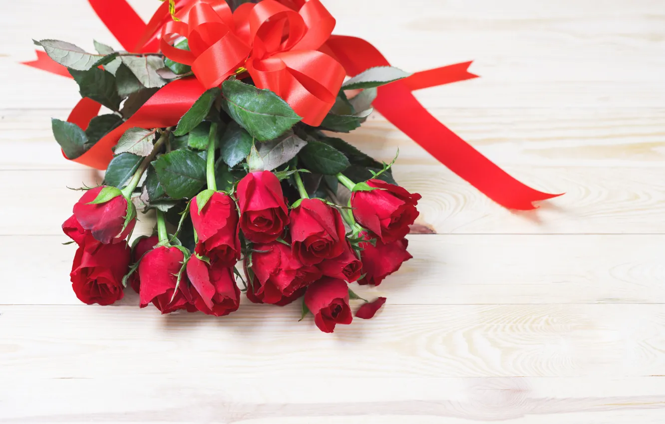 Photo wallpaper flowers, roses, bouquet, tape, red, red, bow, buds