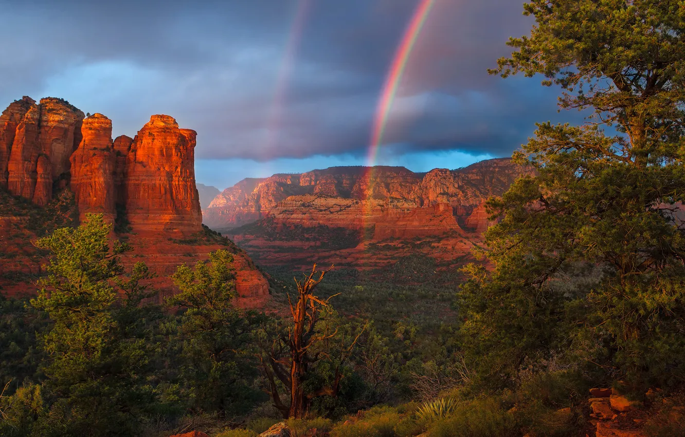 Photo wallpaper the sky, trees, mountains, clouds, rocks, rainbow, dal, canyon