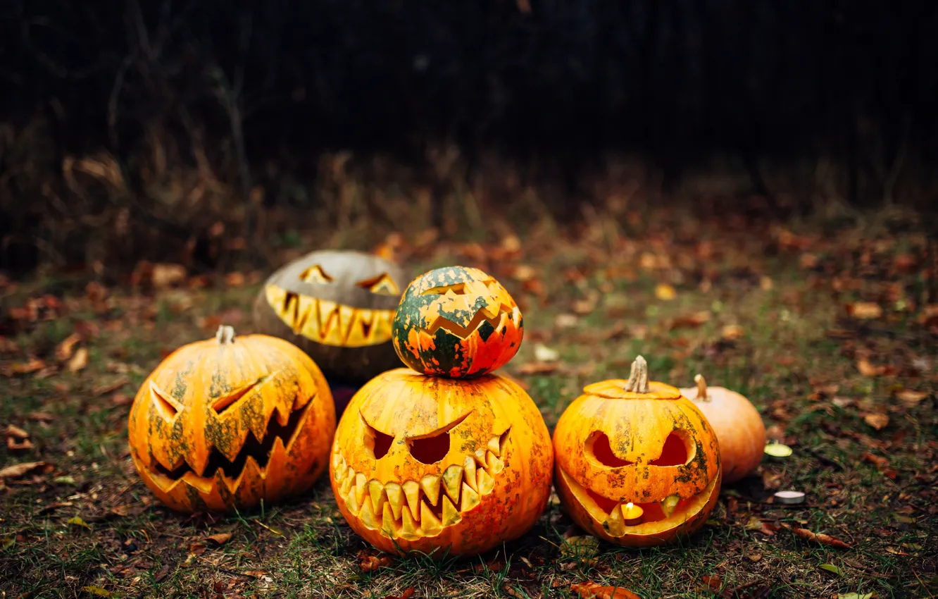 Photo wallpaper autumn, leaves, Halloween, pumpkin, Halloween, autumn, leaves, pumpkin